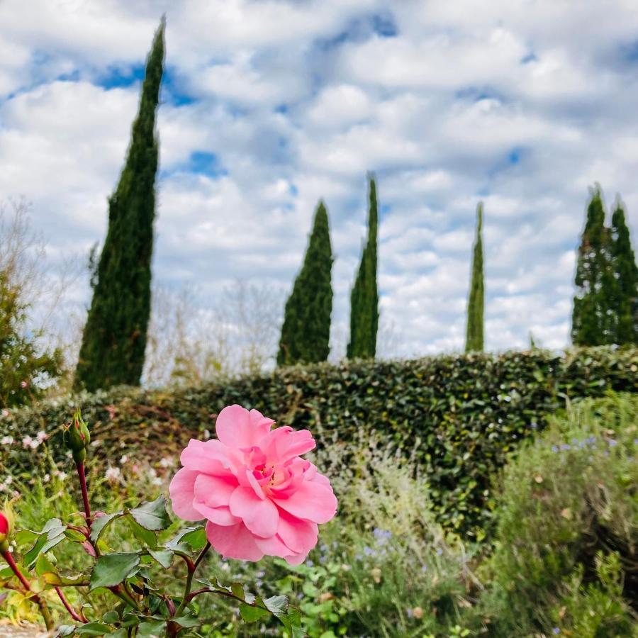 Podere La Chiusella B&B Раполано Терме Екстериор снимка